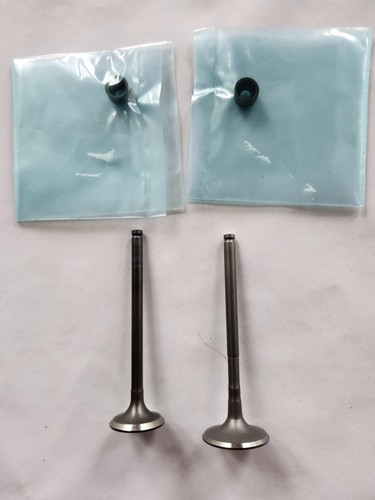 Exhaust and intake - exhaust, valves
