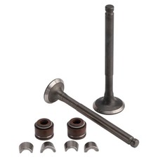 Ventil Set Einlass & Auslass