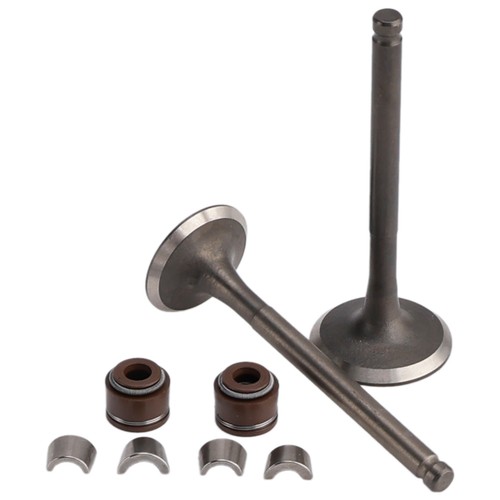 Ventil set einlass auslass - einlass,