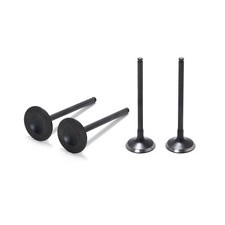 4X Einlassventil Auslassventil