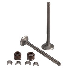 Ventil Set Einlass & Auslass