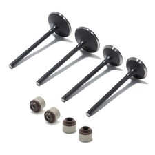 Einlassventil Auslassventil