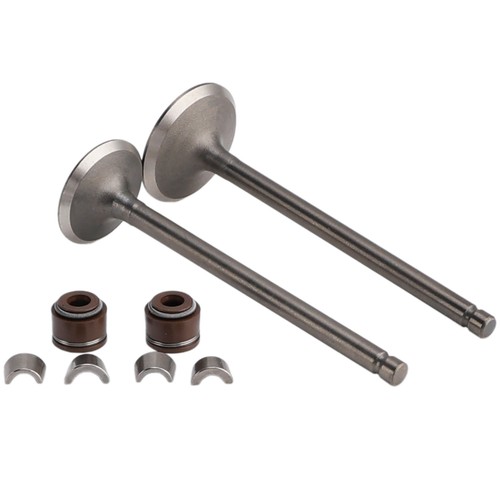 Ventil schaftdichtungen set - schaftdichtungen,