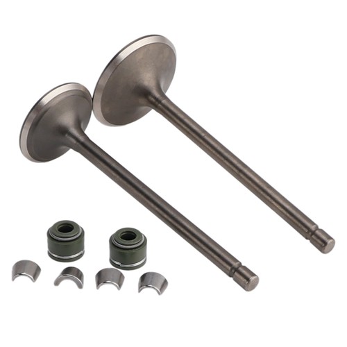 Ventil set einlass auslass - &,
