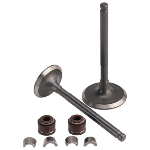 Ventil set einlass - ventil,