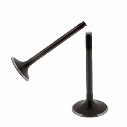 Set einlassventil - einlassventil, +