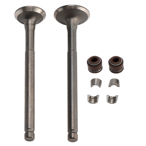Ventil set einlass auslass - ventil, einlass&auslass