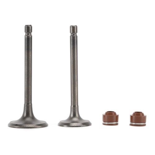 Ventil schaftdichtungen set - ventil,