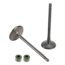 Ventil Schaftdichtungen Set