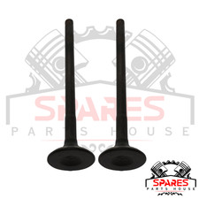 Auslassventilsatz passend für