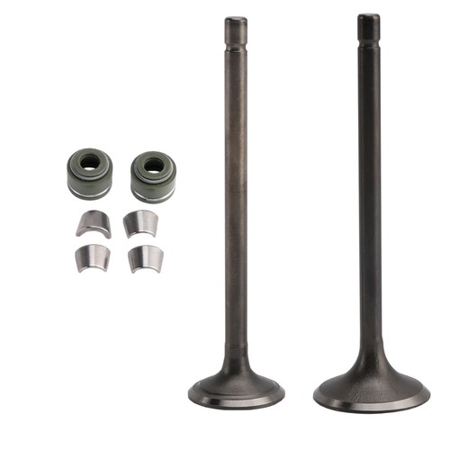 Ventil set einlass auslass - ventil,