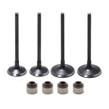 Einlass und Auslassventile +