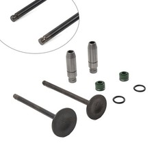 Einlass-Auslassventil-Schaftf?