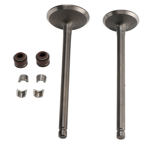 Ventil schaftdichtungen set - ventil,
