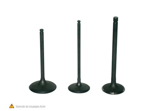 Vertex 8400002 auslassventil - vertex,